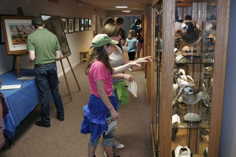 Exhibit hallway at Sessions Woods
